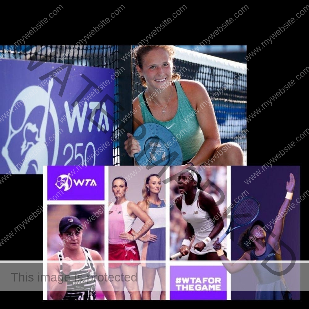 WTA國際女子網球比賽