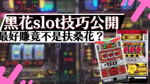 黑花slot天井、流星雨技巧公佈！闇の花竟不是最好賺的slot？